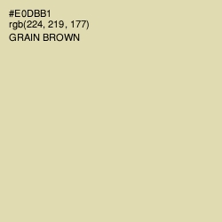 #E0DBB1 - Grain Brown Color Image